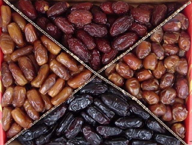 کاهش قیمت خرمای صادراتی ایران/ گرانترین خرما کدام است؟ خرما