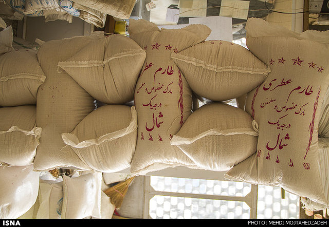 آلودگی برنج بهانه است؛ نمیخواهند پول بدهند برنج