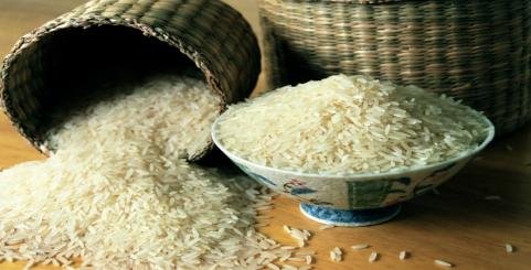 برنج های تولیدی مازندران هیچ گونه مسمومیتی ندارند