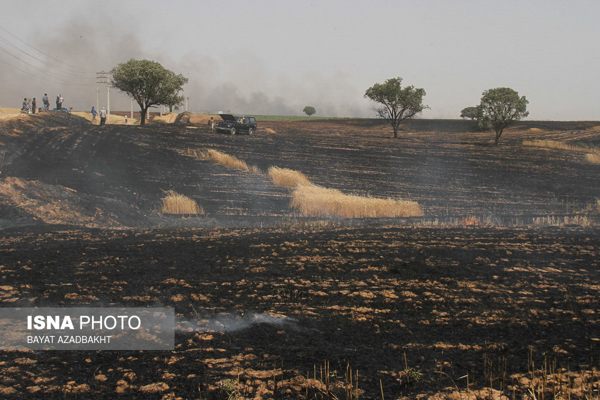 آتش سوزی در مزارع ، مراتع و جنگلها کوهدشت
