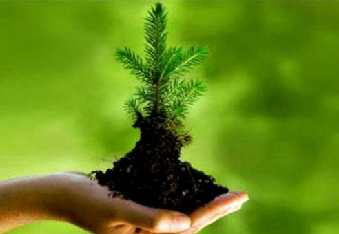خبرگزاری صدای زنجان