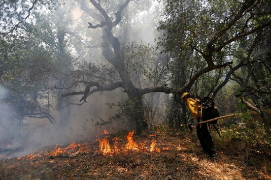 مهار آتش‌سوزی اراضی جنگلی حاشیه رودخانه ارس