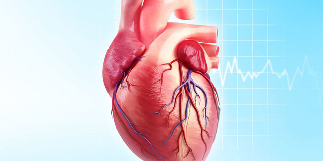 کاهش ۲۵ درصدی مرگ ناشی از حوادث قلبی و مغزی تا سال ۱۴۰۴