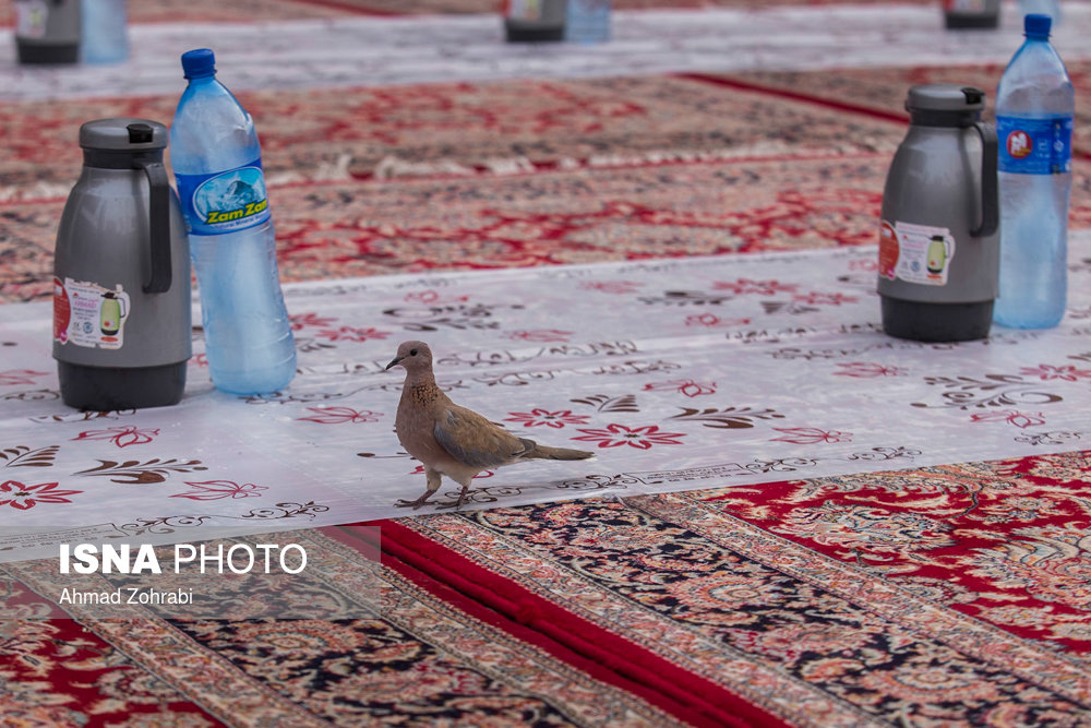 مراسم افطاری در حرم حضرت فاطمه معصومه(س)
