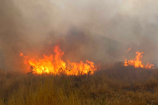 آتش سوزی مراتع در سنندج‎
