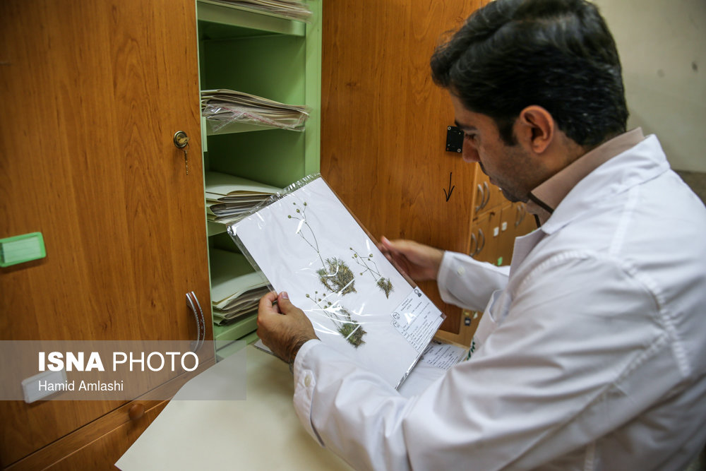 پژوهشکده گیاهان دارویی جهاد دانشگاهی