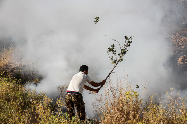 آتش سوزی در جنگل های منطقه سرطرهان در کوهدشت لرستان