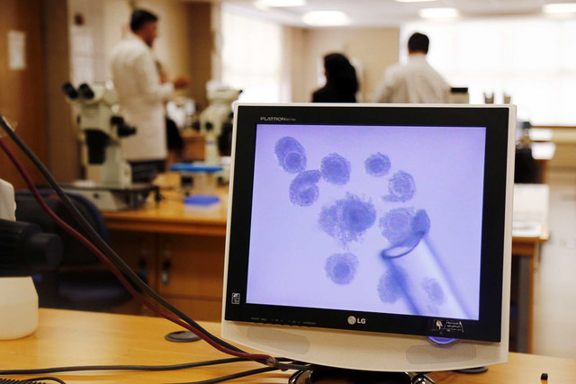 ۶ دانشمند ایرانی در میان ۳۰۰۰ دانشمند برتر دنیا/۱۳ دانشگاه جزو یک درصدها پژوهشکده زیست فناوری رویان اصفهان