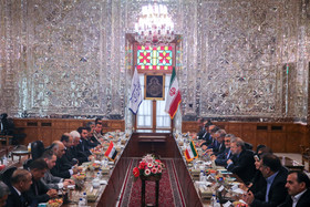 دیدار علی لاریجانی با سلیم الجبوری رئیس مجلس عراق