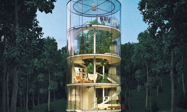 A-Masow-Glass-Treehouse-lead--1020x610.jpg