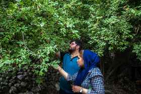  جشن برداشت زغال‌ اخته در روستای هیر - قزوین