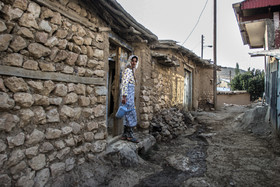  جشن برداشت زغال‌ اخته در روستای هیر - قزوین