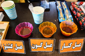 سومین نمایشگاه و جشنواره گیاهان دارویی