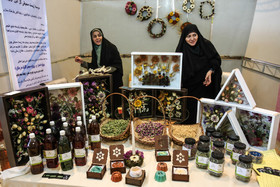 سومین نمایشگاه و جشنواره گیاهان دارویی