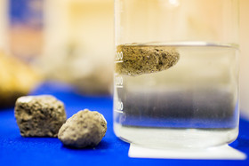 رونمایی از فسیل‌های هفت میلیون ساله لرستان