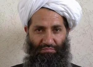 فراخوان رهبر طالبان افغانستان برای درختکاری!