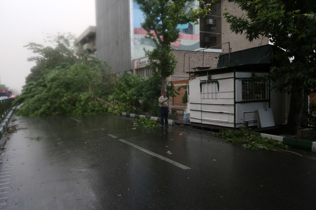 اعلام جزئیاتی از خسارات طوفان جمعه در مازندران طوفان