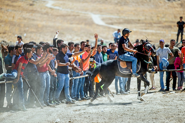رهبری: فقط 12 کامیون زباله از مجموعه سوارکاری نوروزآباد خارج کردیم همایش زیبایی، رژه و سوارکاری اسب