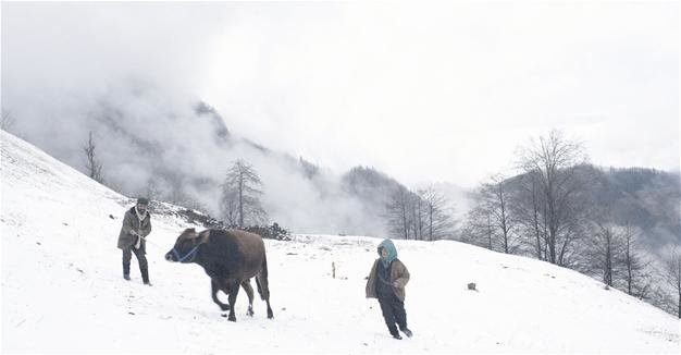 سرمای قلندر