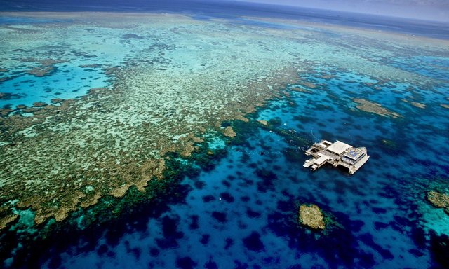 دیواره بزرگ مرجانی