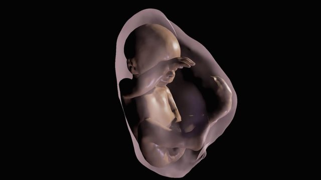 virtual-reality-fetus-4.jpg