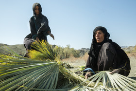 از سمت چپ سکینه و فاطمه زنان کپرنشین ساکن روستای زمین حسن، پیش ها(برگهای حصیربافی) را برای بافت حصیر و کسب درآمدی ناچیز آماده می کنند. پسر فاطمه چند ماه قبل در مسیر روستا با موتورسیکلت به دلیل خاکی و ناایمن بودن جاده از مسیر منحرف شده و فوت می کند. در حال حاضر همسر و فرزندان پسرش با او زندگی می کنند.