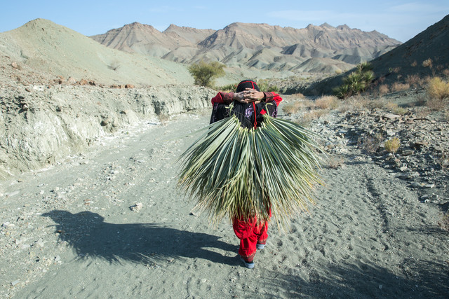 مریم زن کپر نشین ساکن روستای زمین حسن در حال حمل کردن برگ هایی است که با آن حصیر می بافد. او برای چیدن برگ ها یک روز از صبح تا نزدیک غروب مسیری طولانی را در کوه ها طی می کند. شوهر مریم مردی از کار افتاده و معتاد است. حصیر بافتن تنها کاری است که او برای کسب درآمدی ناچیز ( ۳ هزار تومان در ازای ۲ روز کار ) انجام می دهد.