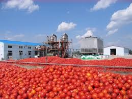 کارخانه رب گوجه فرنگی