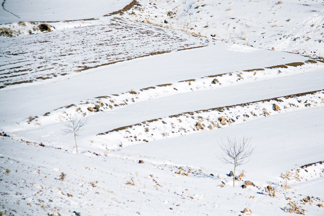 طبیعت برفی شهمیرزاد - سمنان