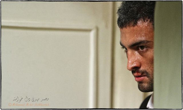 صدور مجوز نمایش برای ۳ فیلم / «قاتل اهلی» مجوز گرفت صدور مجوز نمایش برای ۳ فیلم / «قاتل اهلی» مجوز گرفت