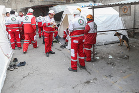 تلاش  نیروهای امدادی و نجات در پلاسکو برای بیرون آوردن و نجات دوستان و همکاران خود بعد ۲۴ ساعت همچنان ادامه دارد 