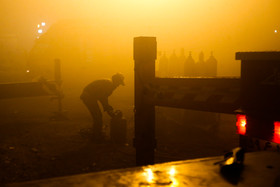 تلاش  نیروهای امدادی و نجات در پلاسکو برای بیرون آوردن و نجات دوستان و همکاران خود بعد ۲۴ ساعت همچنان ادامه دارد