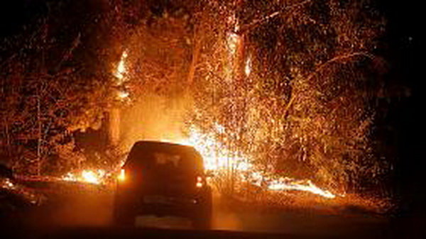 آتش ۸۰ هزار هکتار از جنگل‌های شیلی را سوزاند
