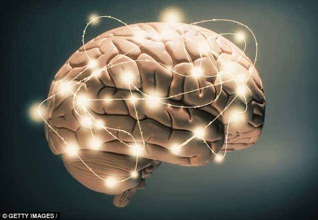 مغز انسان مجهز به سیستم تخلیه مواد زاید است مغز