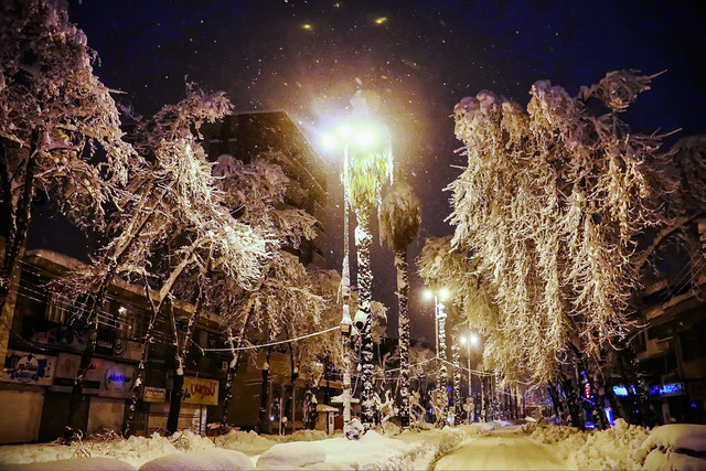 بارش شدید برف در مشهد و رشت