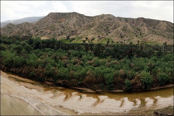 تنوع درختان میوه در جم