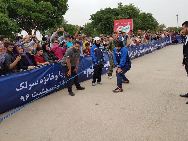 پوریا سرلک
