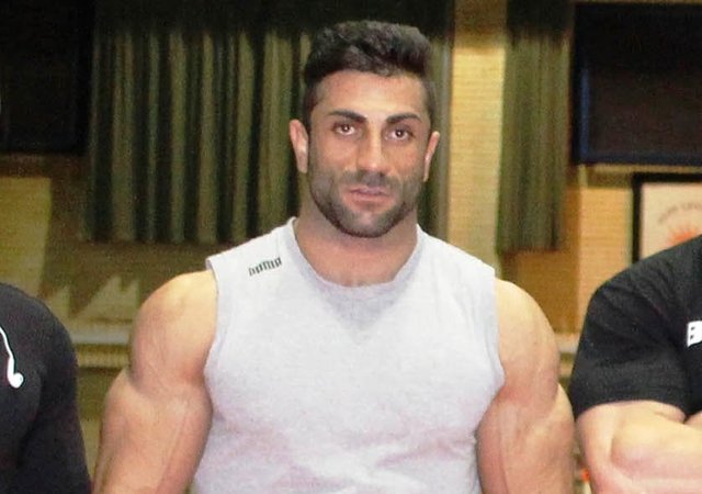 پاپی