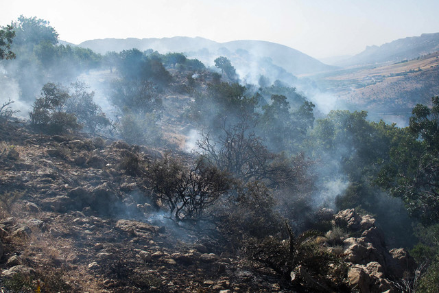 مهار ۹۵ درصد از آتش‌سوزی جنگل‌های چاوونی اندیمشک