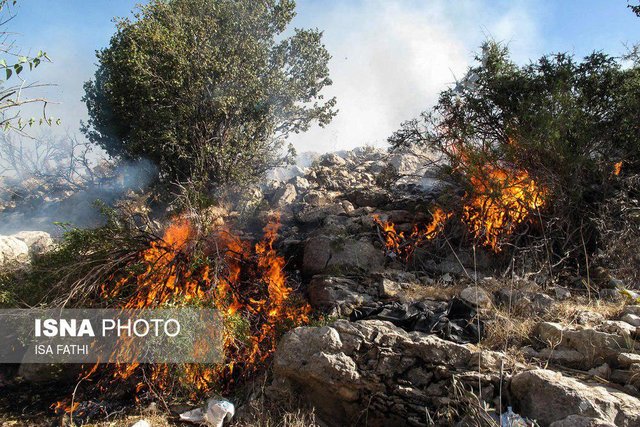 آتش سوزی در جنگلهای "سروک" و " مهریان" بویراحمد
