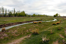 تلف شدن ماهی های رودخانه اهرچای شهرستان اهر- آذربایجان شرقی