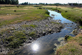 تلف شدن ماهی های رودخانه اهرچای شهرستان اهر- آذربایجان شرقی
