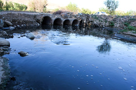 تلف شدن ماهی های رودخانه اهرچای شهرستان اهر- آذربایجان شرقی