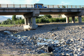 تلف شدن ماهی های رودخانه اهرچای شهرستان اهر- آذربایجان شرقی