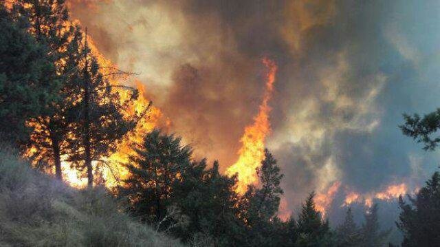 آتش سوزی در بخشی از جنگلهای شرق گلستان