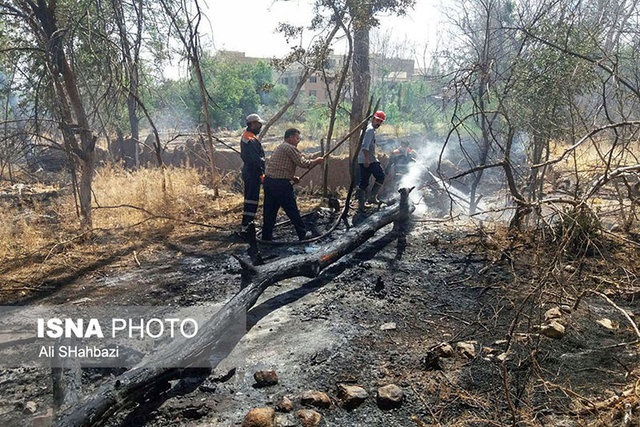 60 هکتار از باغ‌های رودان در آتش سوخت