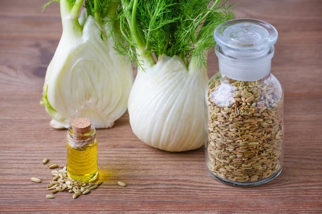 برخی خواص درمانیِ رازیانه رازیانه