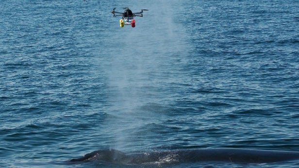 فواره نهنگ