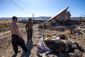دهستان ''بیرویج'' و روستای ''ده جامی'' دو روز پس از زلزله غرب کشور 