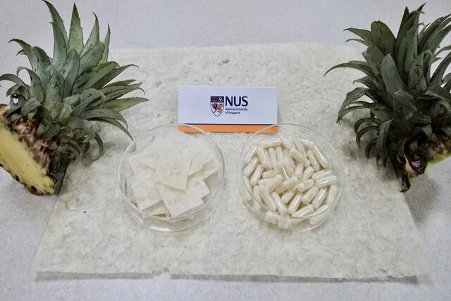 از بین بردن چربیهای مضر با کمک برگهای آناناس!